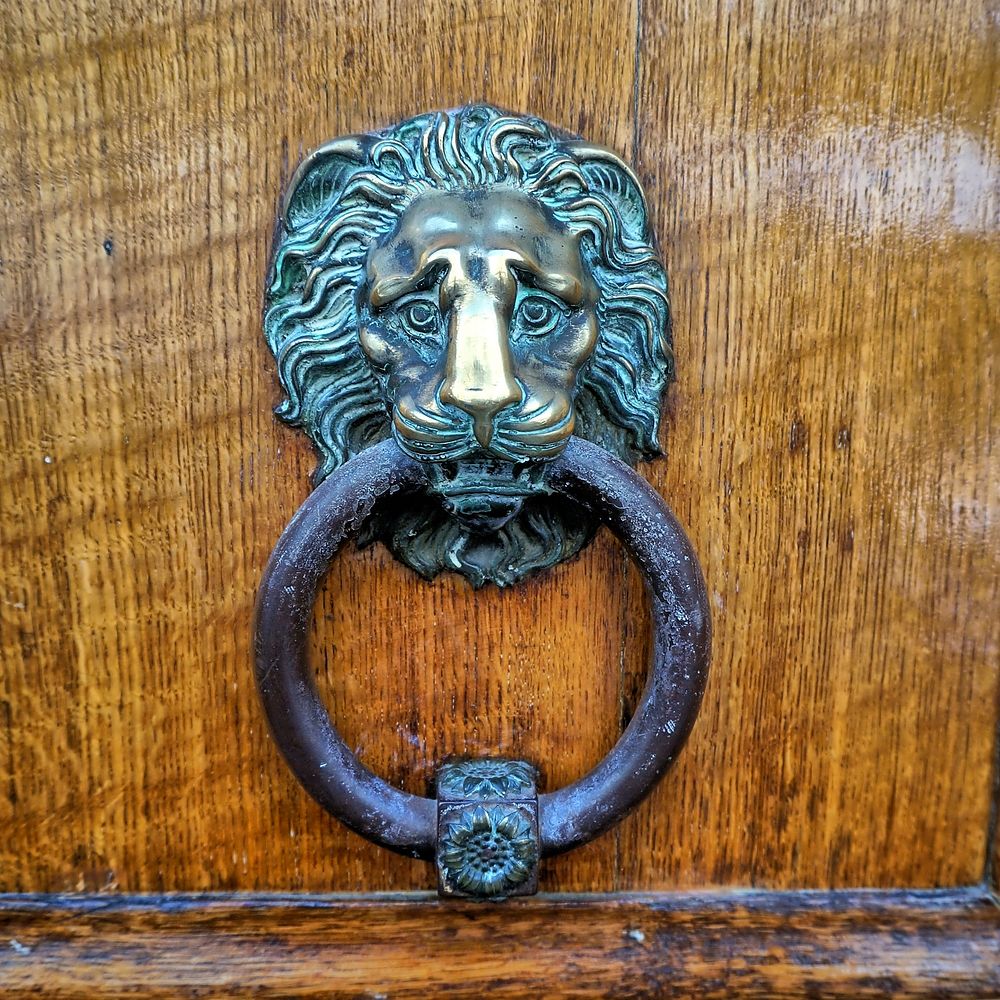 Lion door knocker in brass. Free public domain CC0 photo.