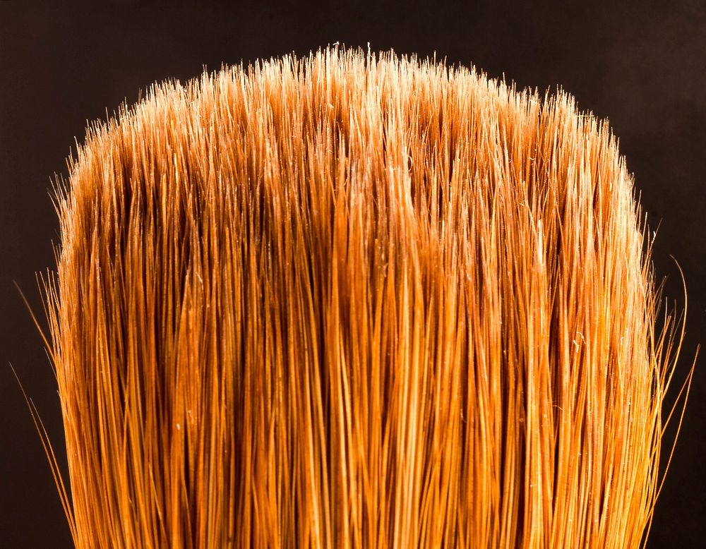 Cosmetics brush. Free public domain CC0 photo.