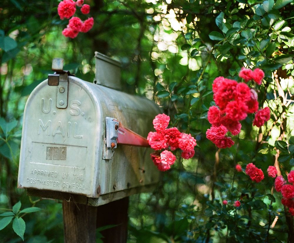 Mailbox and red roses. Free public domain CC0 image.