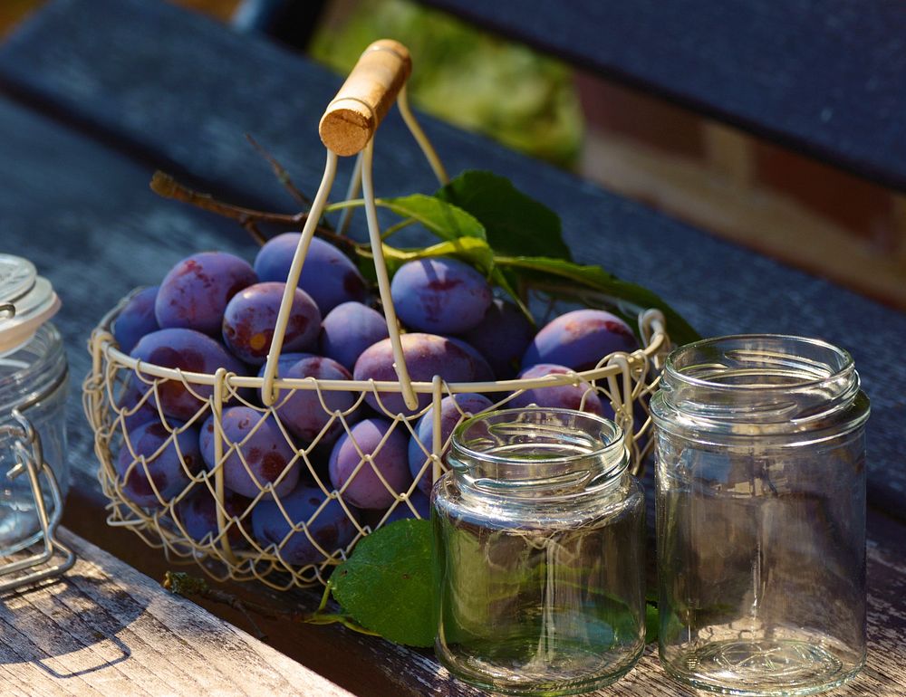 Closeup on fresh plums in bowl on table. Free public domain CC0 photo.