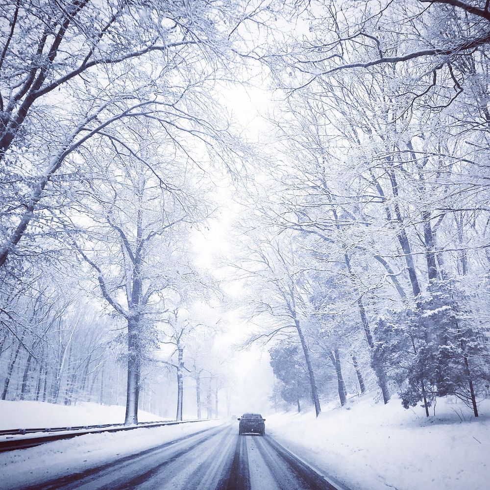 Snow covered forest with road. Free public domain CC0 photo.