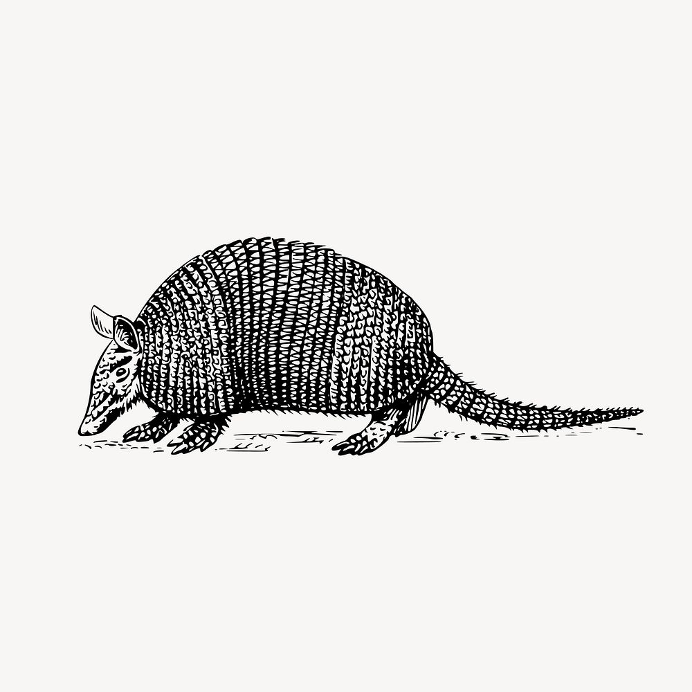 Armadillo clipart, vintage animal illustration vector. Free public domain CC0 image.