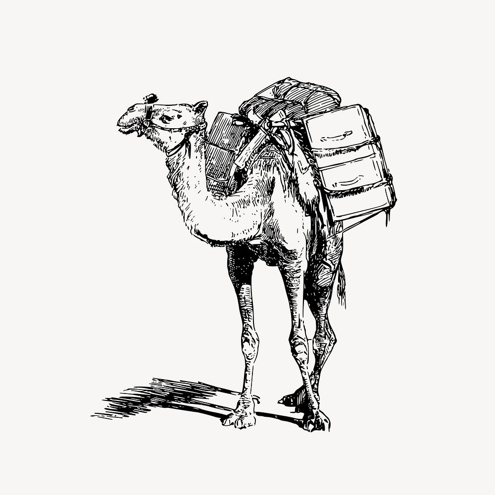 Laden camel clipart, animal-powered transport illustration vector. Free public domain CC0 image.