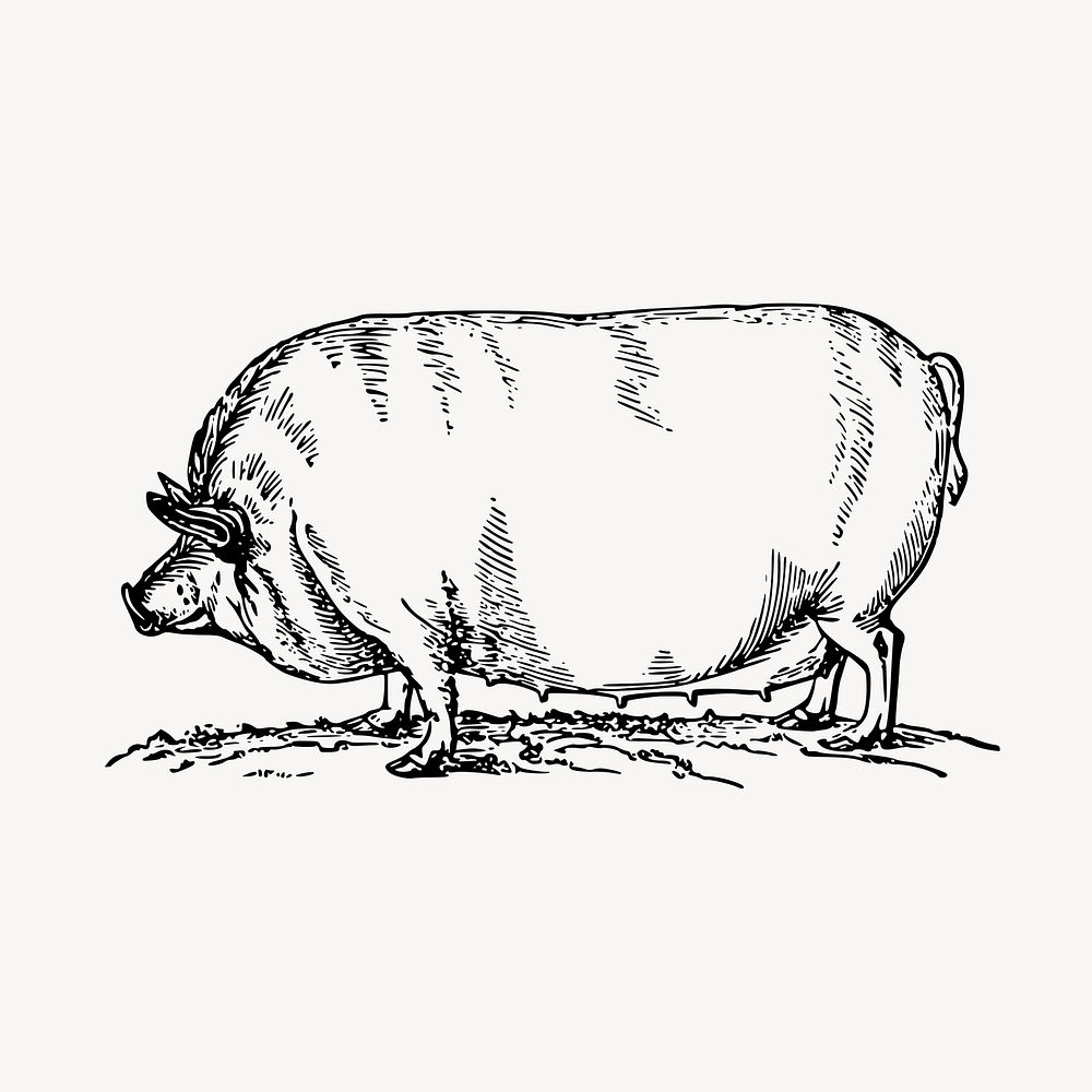 Pig clipart, farm animal illustration vector. Free public domain CC0 image.