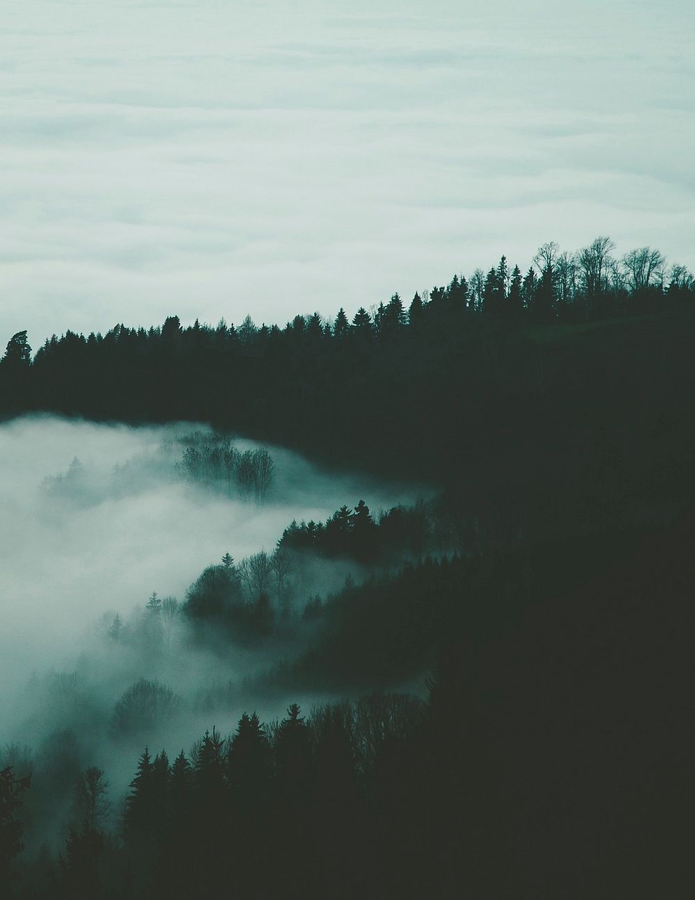 Free misty mountains image, public domain landscape CC0 photo.