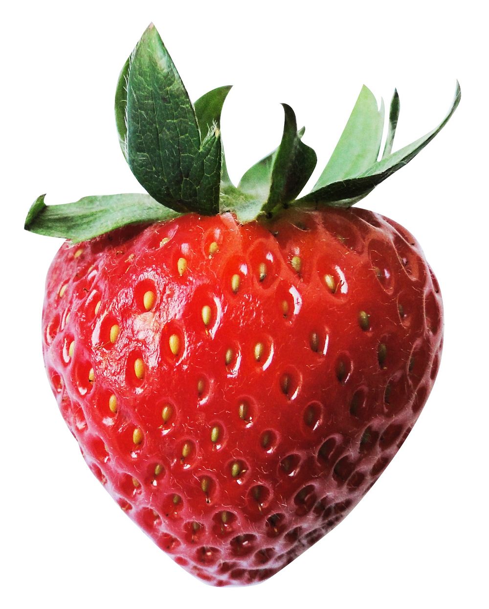 Free strawberries public domain fruit CC0 photo.