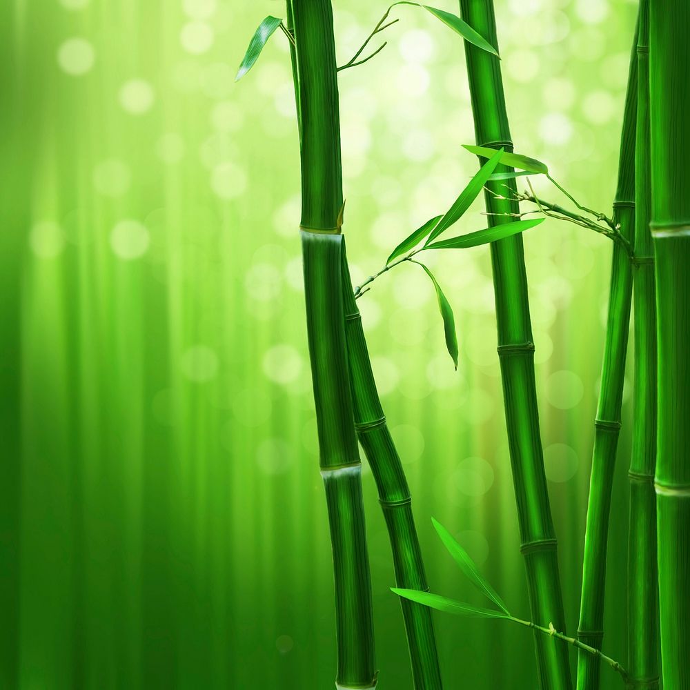 Green bamboo close up image, free public domain CC0 photo.