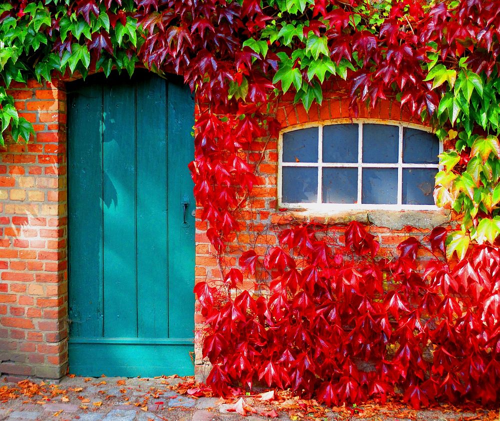 Free autumn front porch image, public domain fall CC0 photo.