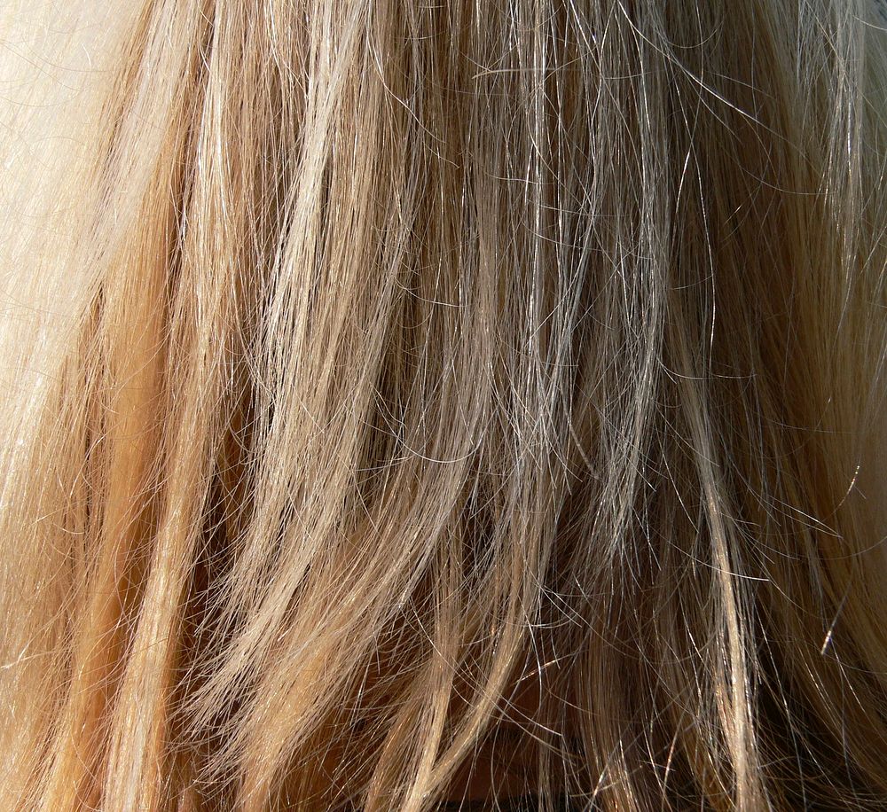 Blonde hair close up, free public domain CC0 photo
