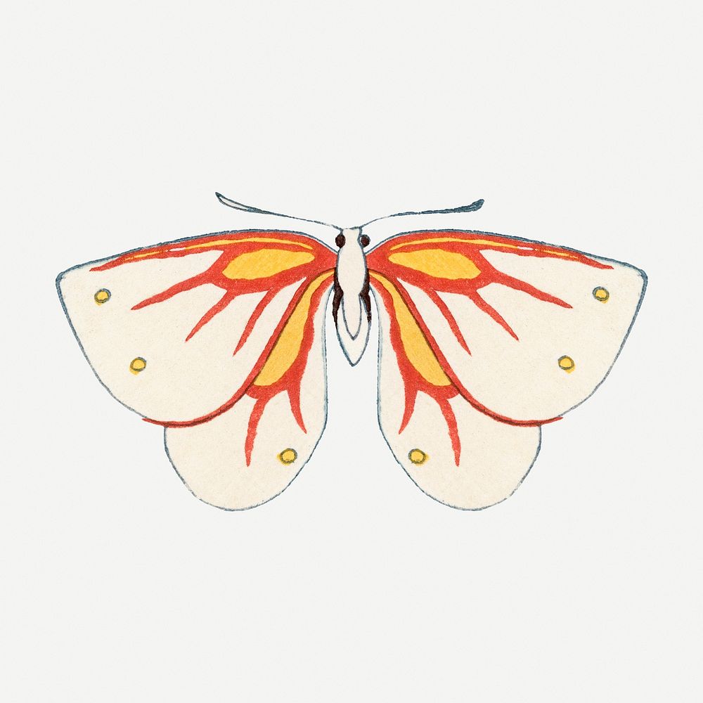 Japanese art butterfly, hand drawn, vintage illustration