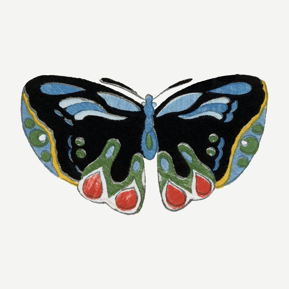 Colorful Japanese butterfly, hand drawn, vintage illustration