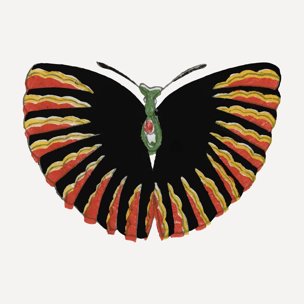 Japanese art moth collage element, drawing illustration vector