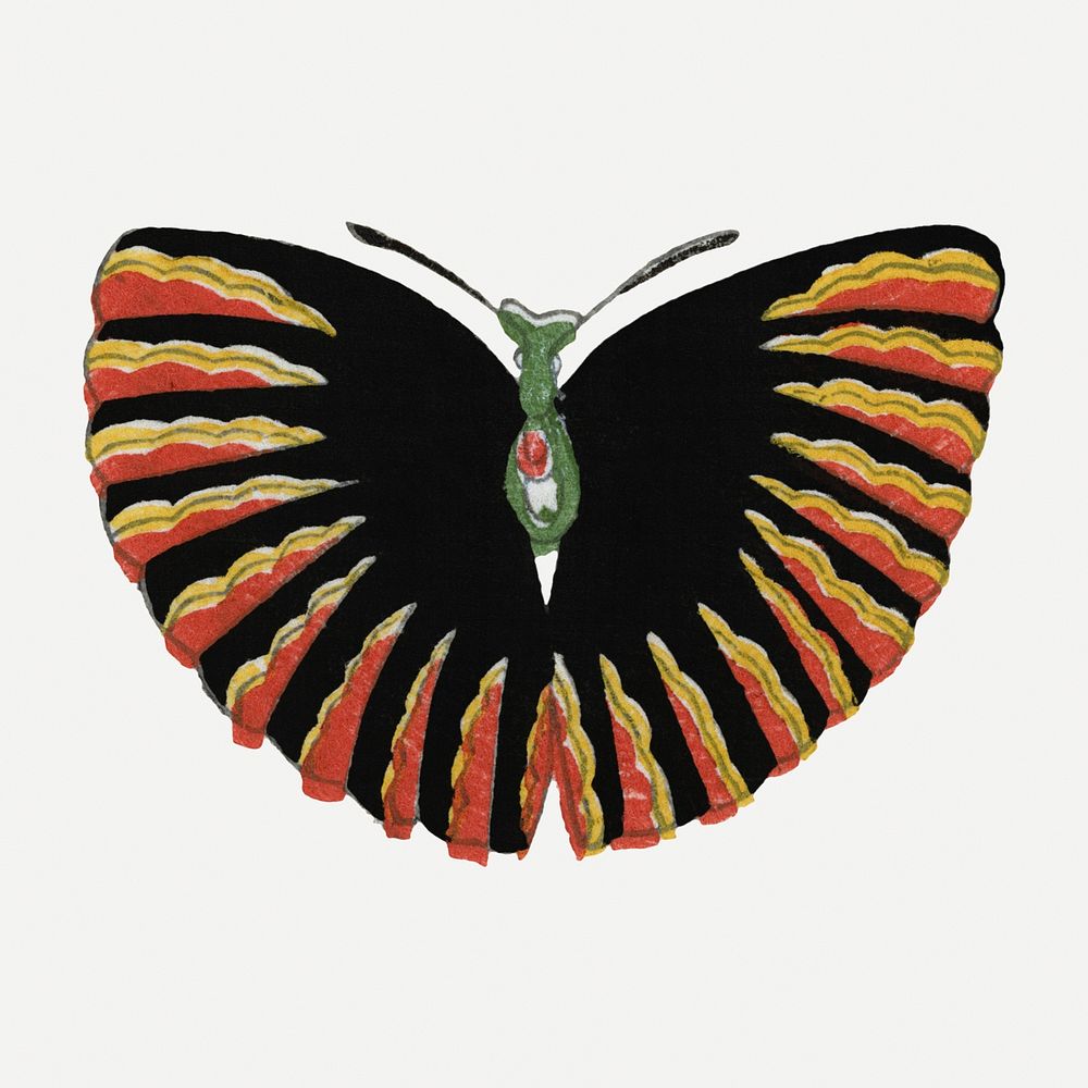 Japanese art moth collage element, drawing illustration psd