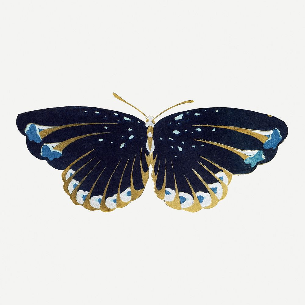 Black butterfly, Japanese art, vintage illustration