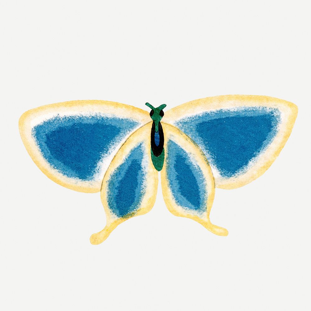 Japanese art, butterfly illustration, watercolor design