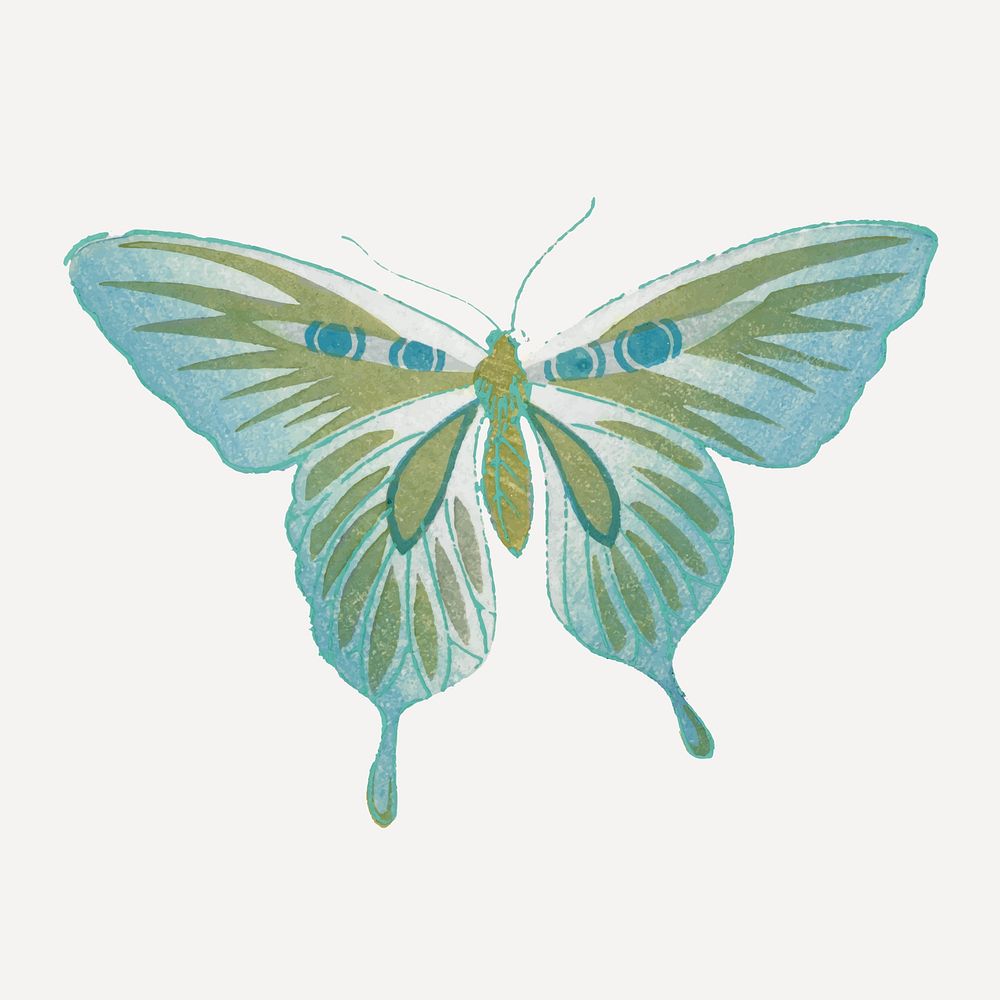 Green butterfly, Japanese hand drawn, vintage illustration vector