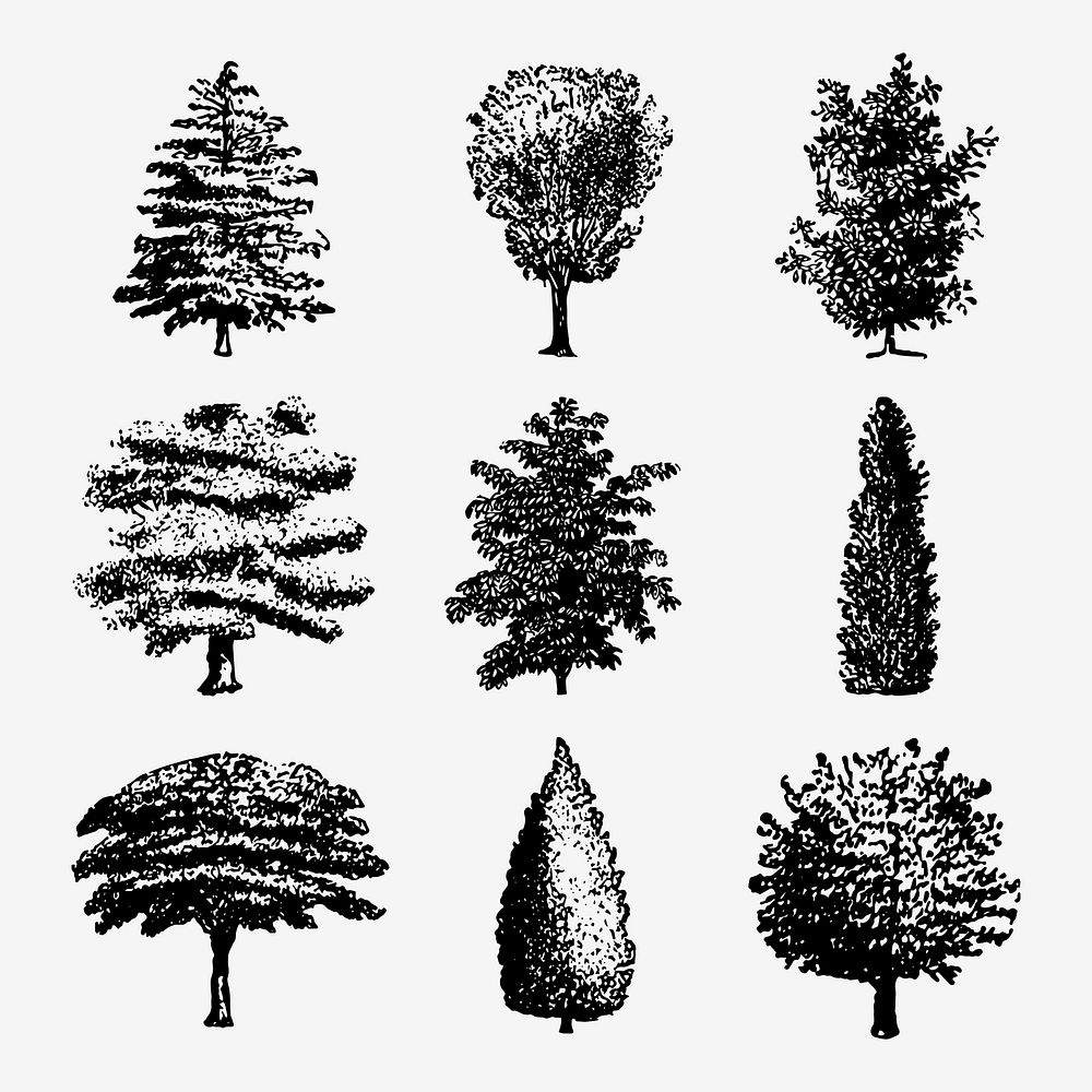 Tree clipart, vintage animal black ink illustration, vector set, digitally enhanced from our own original copy of The Open…