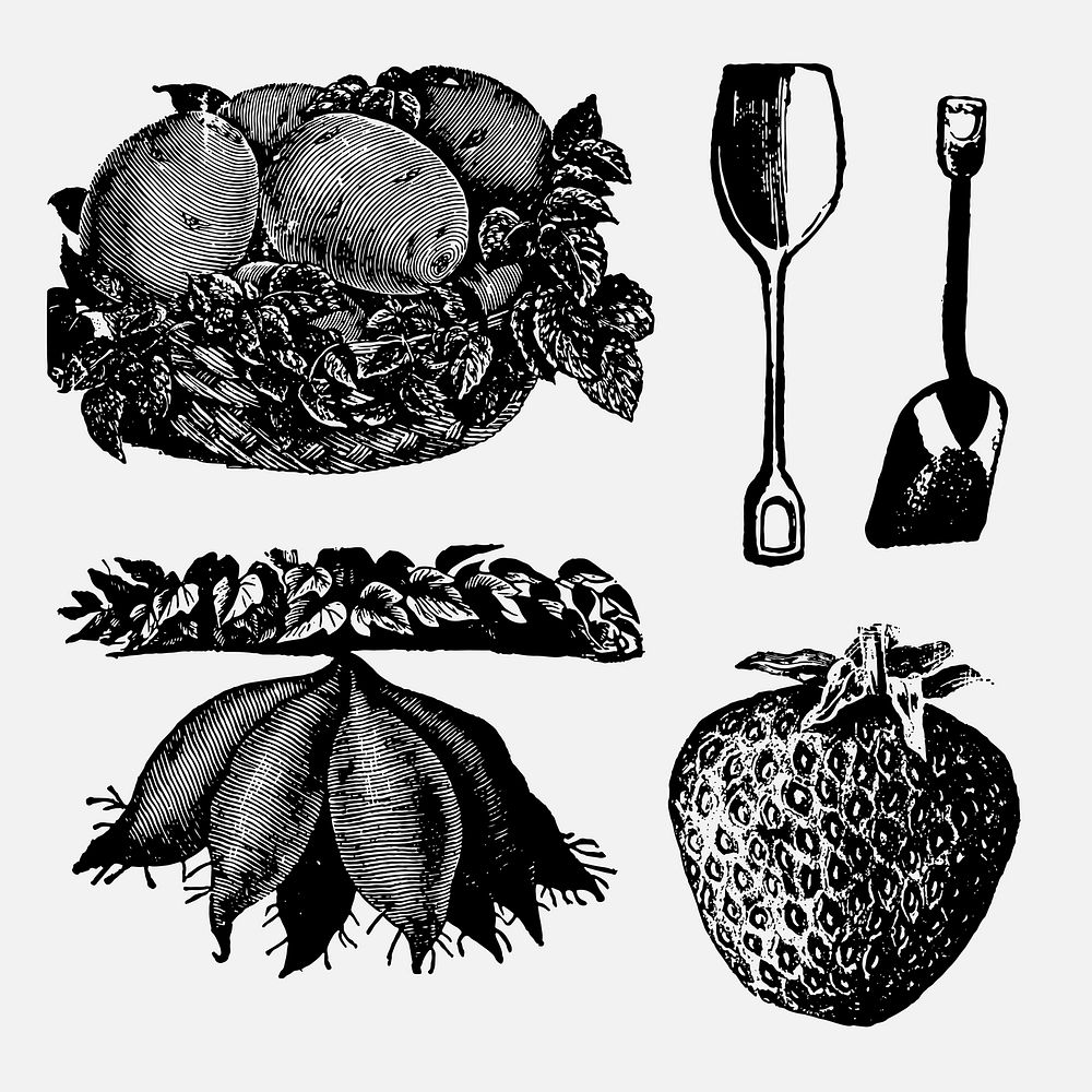 Farm produce clip art, vintage animal black ink illustration vector set, digitally enhanced from our own original copy of…