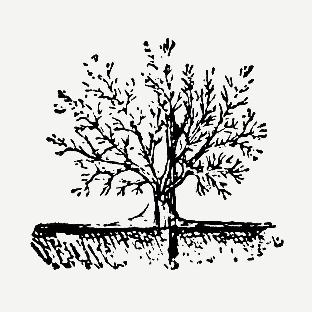 Hand drawn tree sticker, vintage illustration psd, digitally enhanced from our own original copy of The Open Door to…