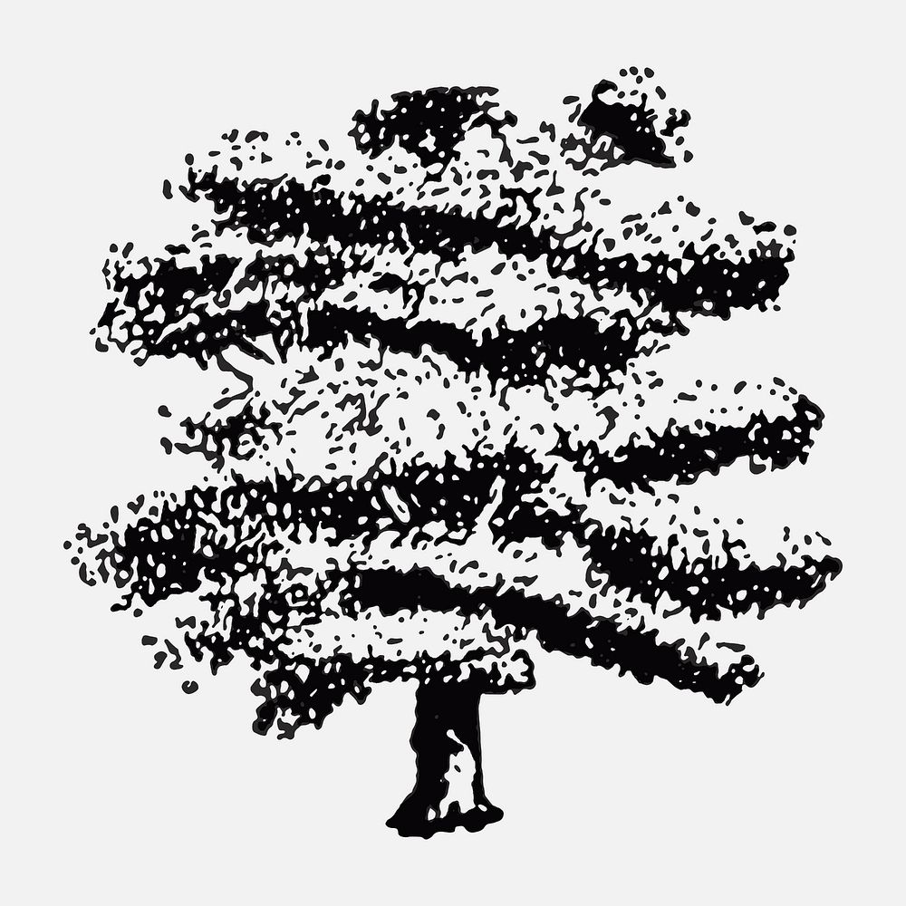 Oak tree sticker, hand drawing vector, digitally enhanced from our own original copy of The Open Door to Independence (1915)…