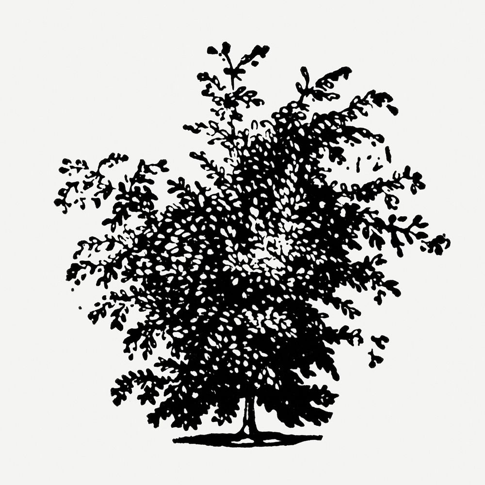 Hand drawn tree sticker, vintage illustration psd, digitally enhanced from our own original copy of The Open Door to…
