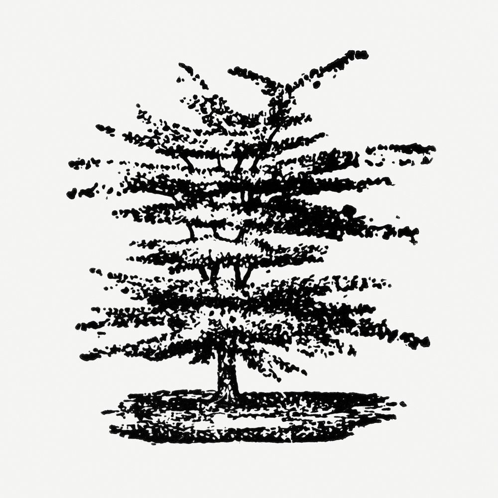 Tree hand drawn illustration, digitally enhanced from our own original copy of The Open Door to Independence (1915) by…