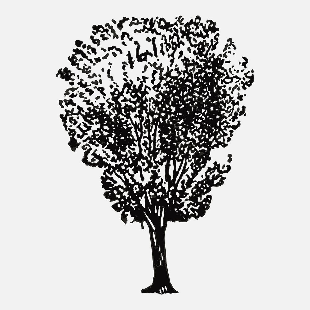 Tree clip art, vintage hand drawn illustration vector, digitally enhanced from our own original copy of The Open Door to…