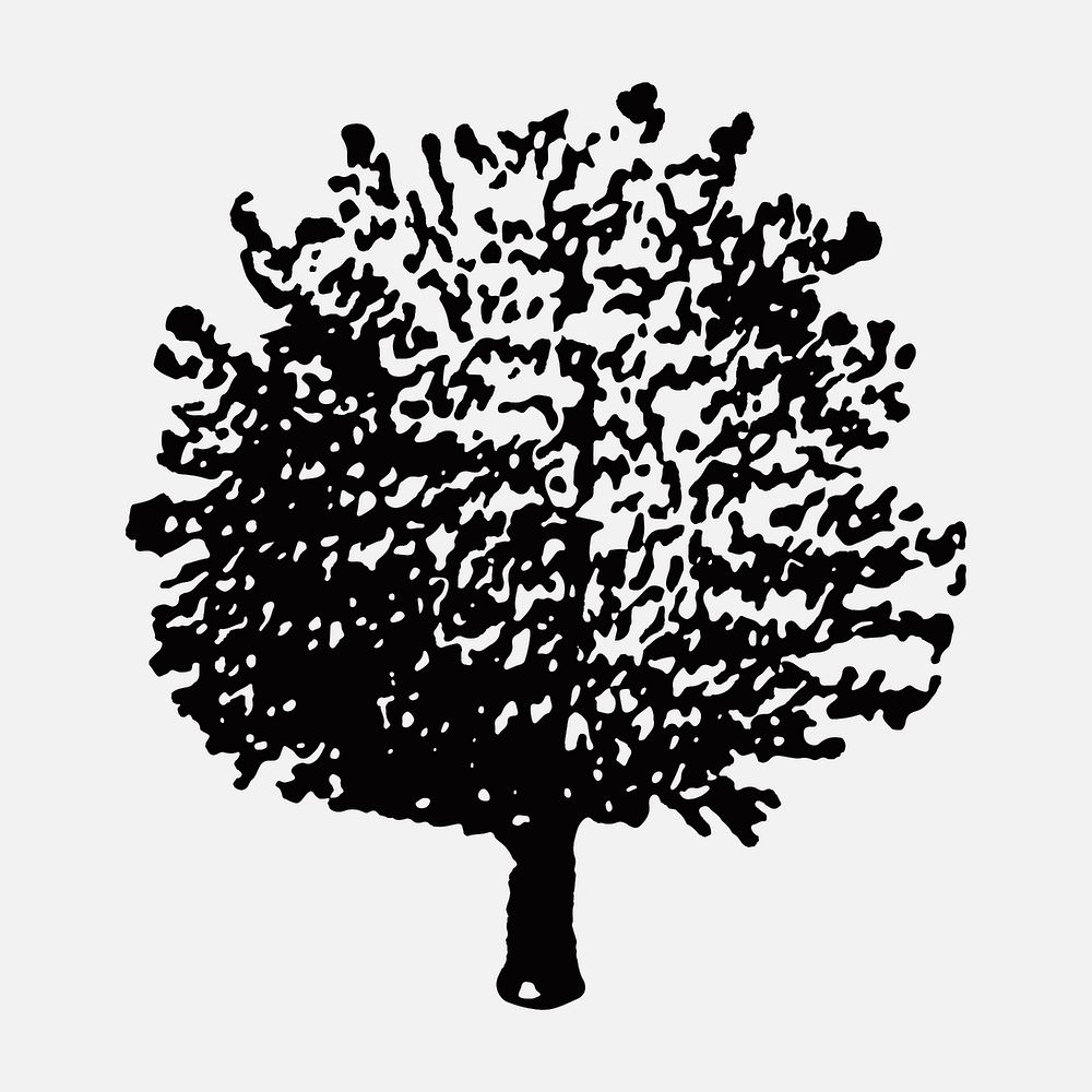 Hand drawn apple tree clipart, hand drawn illustration vector, digitally enhanced from our own original copy of The Open…