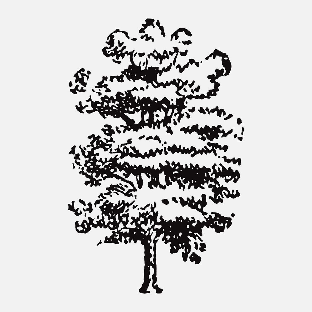 Hand drawn oak tree clipart, hand drawn illustration vector, digitally enhanced from our own original copy of The Open Door…