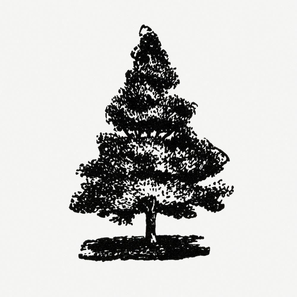 Tree illustration, black ink drawing, digitally enhanced from our own original copy of The Open Door to Independence (1915)…
