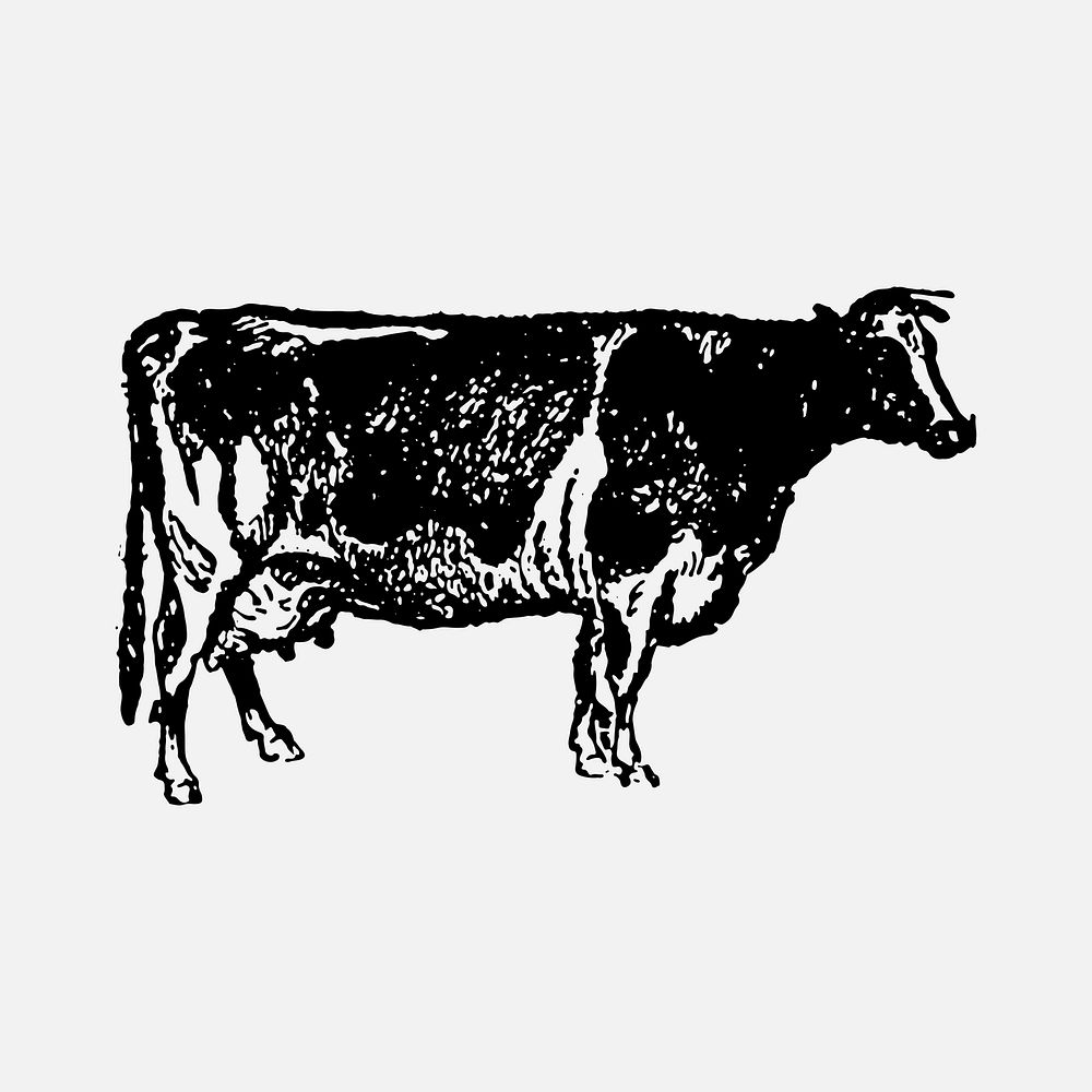 Cow collage element, black ink drawing vector, digitally enhanced from our own original copy of The Open Door to…