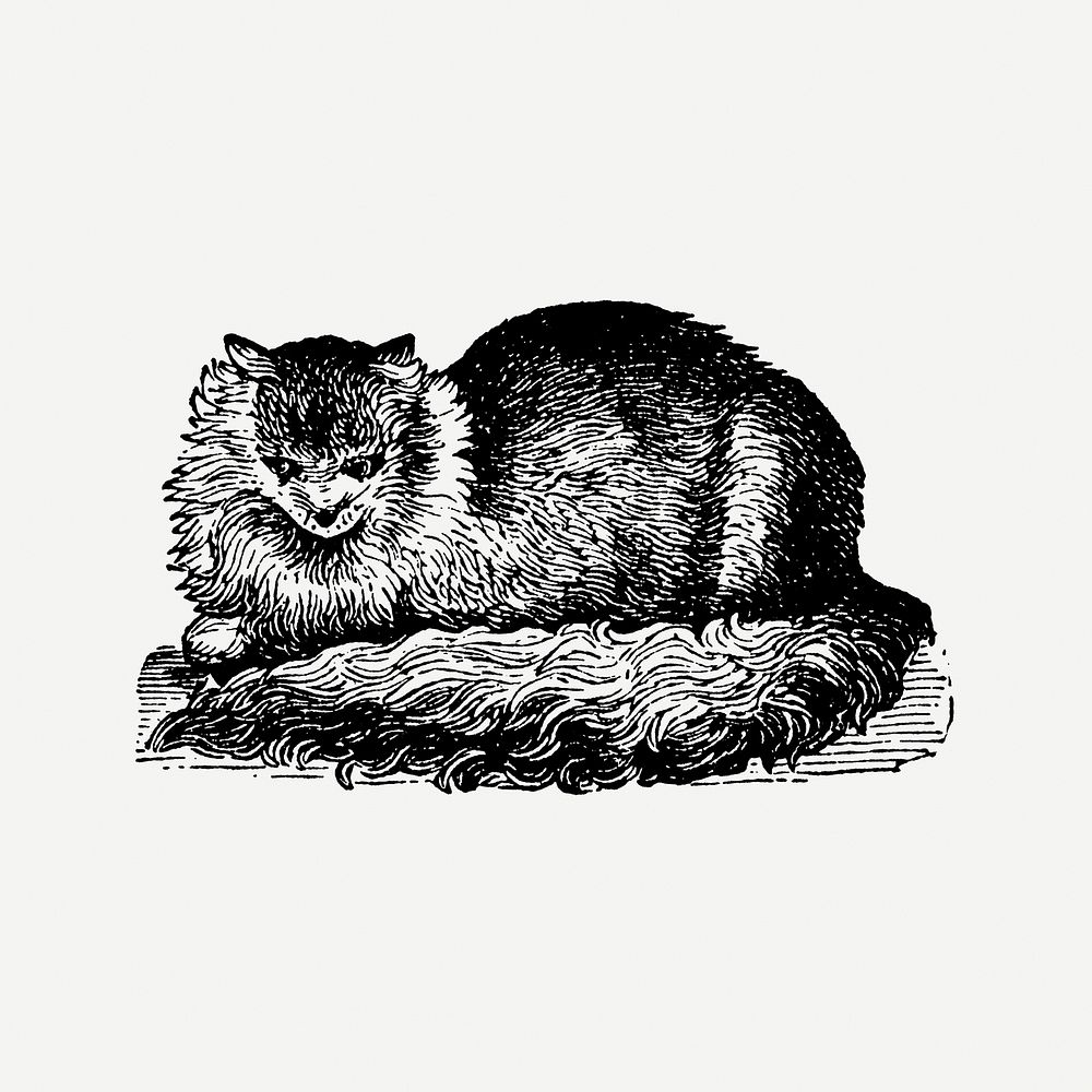 Cat sticker, black ink drawing psd, digitally enhanced from our own original copy of The Open Door to Independence (1915) by…