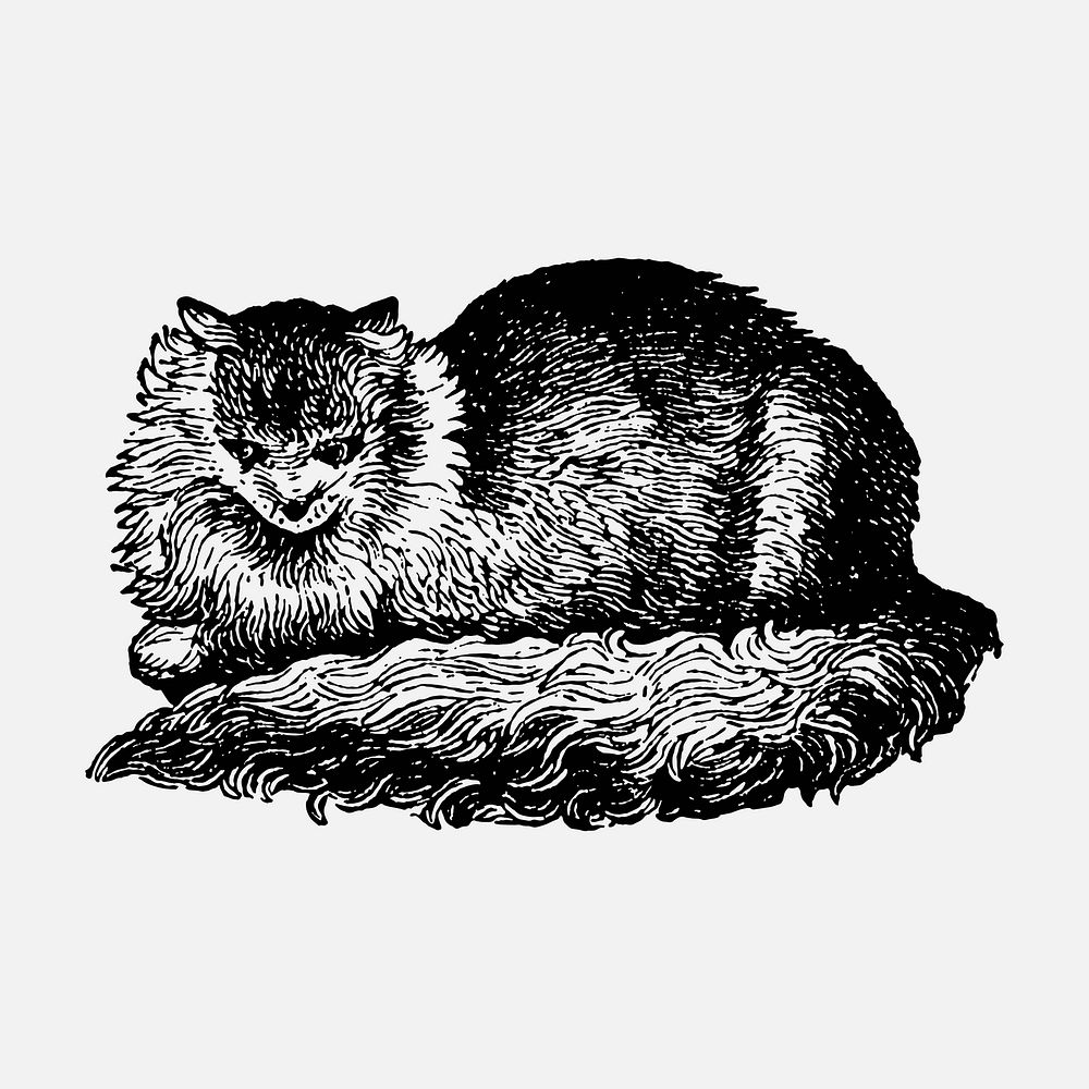 Cat sticker, black ink drawing vector, digitally enhanced from our own original copy of The Open Door to Independence (1915)…