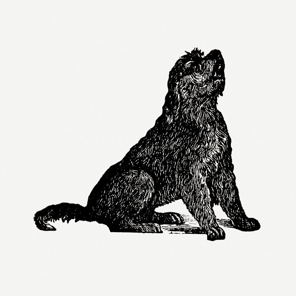 Otter Hound dog hand drawn illustration, digitally enhanced from our own original copy of The Open Door to Independence…