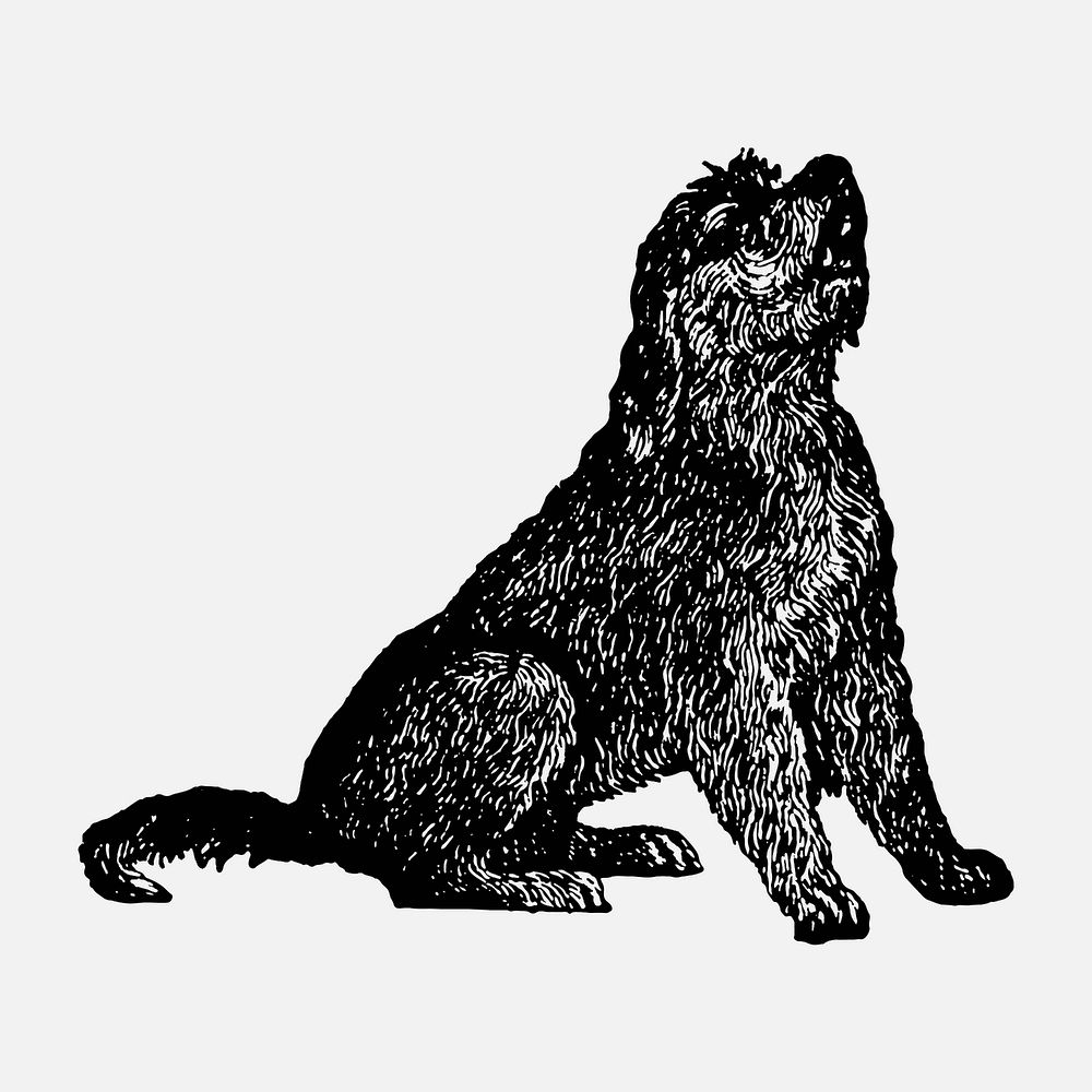Otter Hound dog clipart, black ink drawing vector, digitally enhanced from our own original copy of The Open Door to…