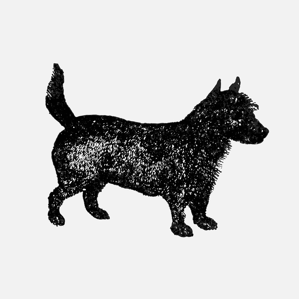 Scotch Terrier dog sticker, black ink drawing vector, digitally enhanced from our own original copy of The Open Door to…