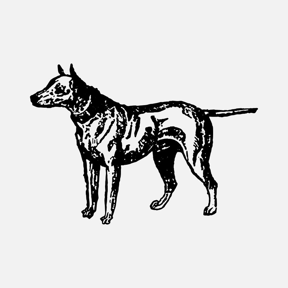 Bull Terrier dog sticker, black ink drawing vector, digitally enhanced from our own original copy of The Open Door to…