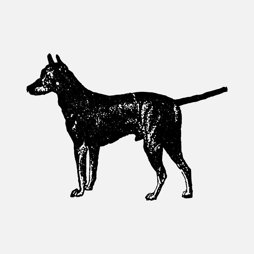 Black and Tan Terrier dog sticker, black ink drawing vector, digitally enhanced from our own original copy of The Open Door…