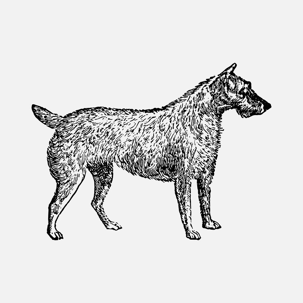 Irish Terrier dog sticker, black ink drawing vector, digitally enhanced from our own original copy of The Open Door to…