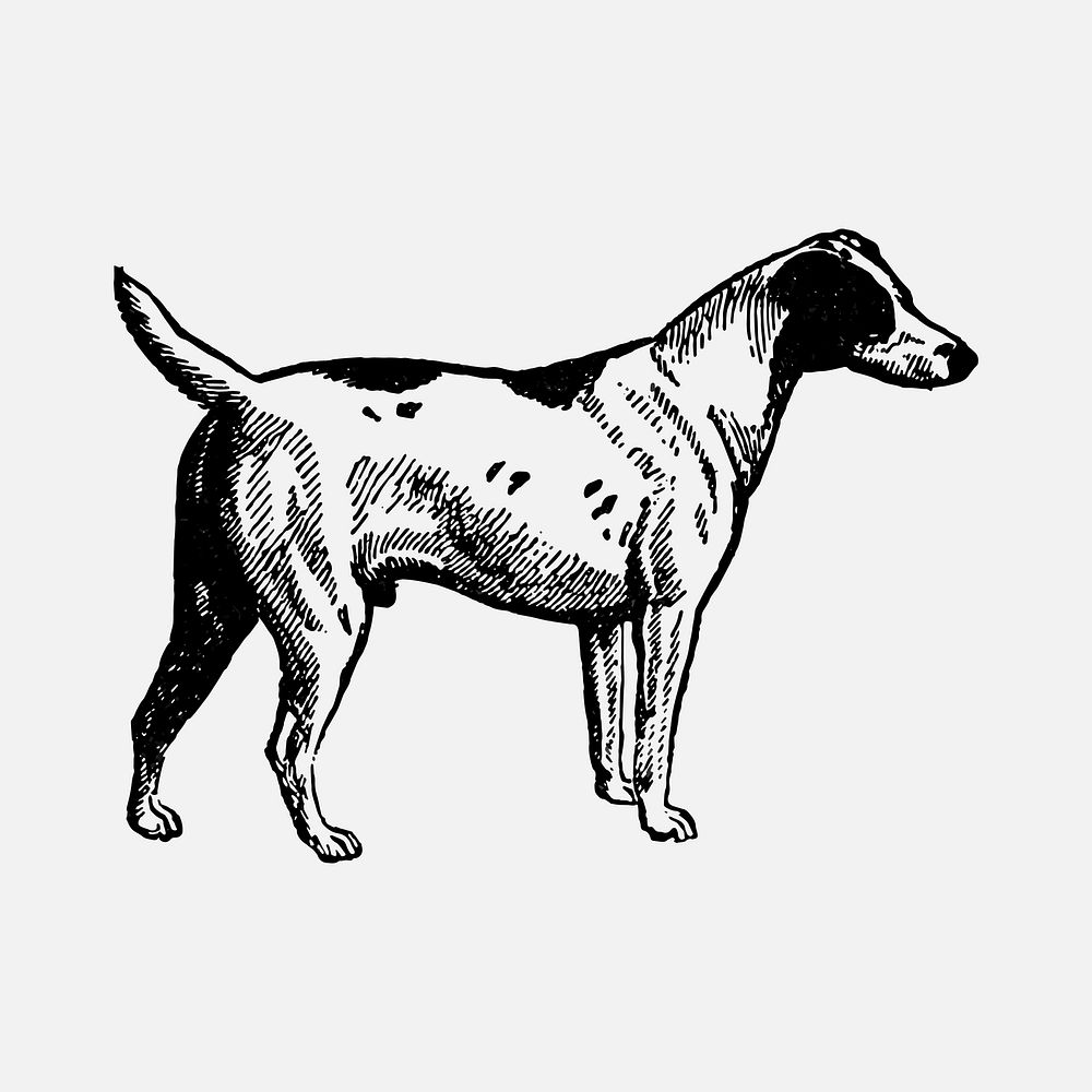 Smooth Fox Terrier dog sticker, black ink drawing vector, digitally enhanced from our own original copy of The Open Door to…