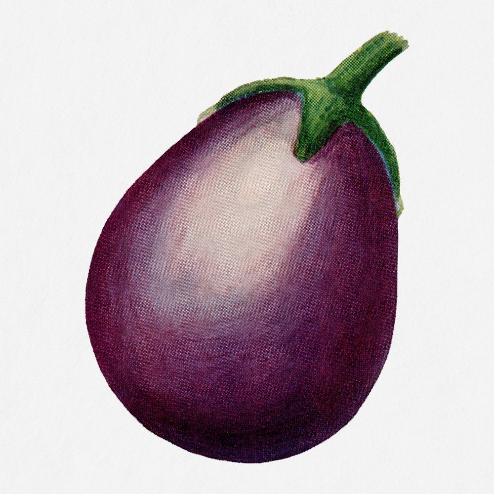 Egg plant illustration, vintage watercolor design, digitally enhanced from our own original copy of The Open Door to…