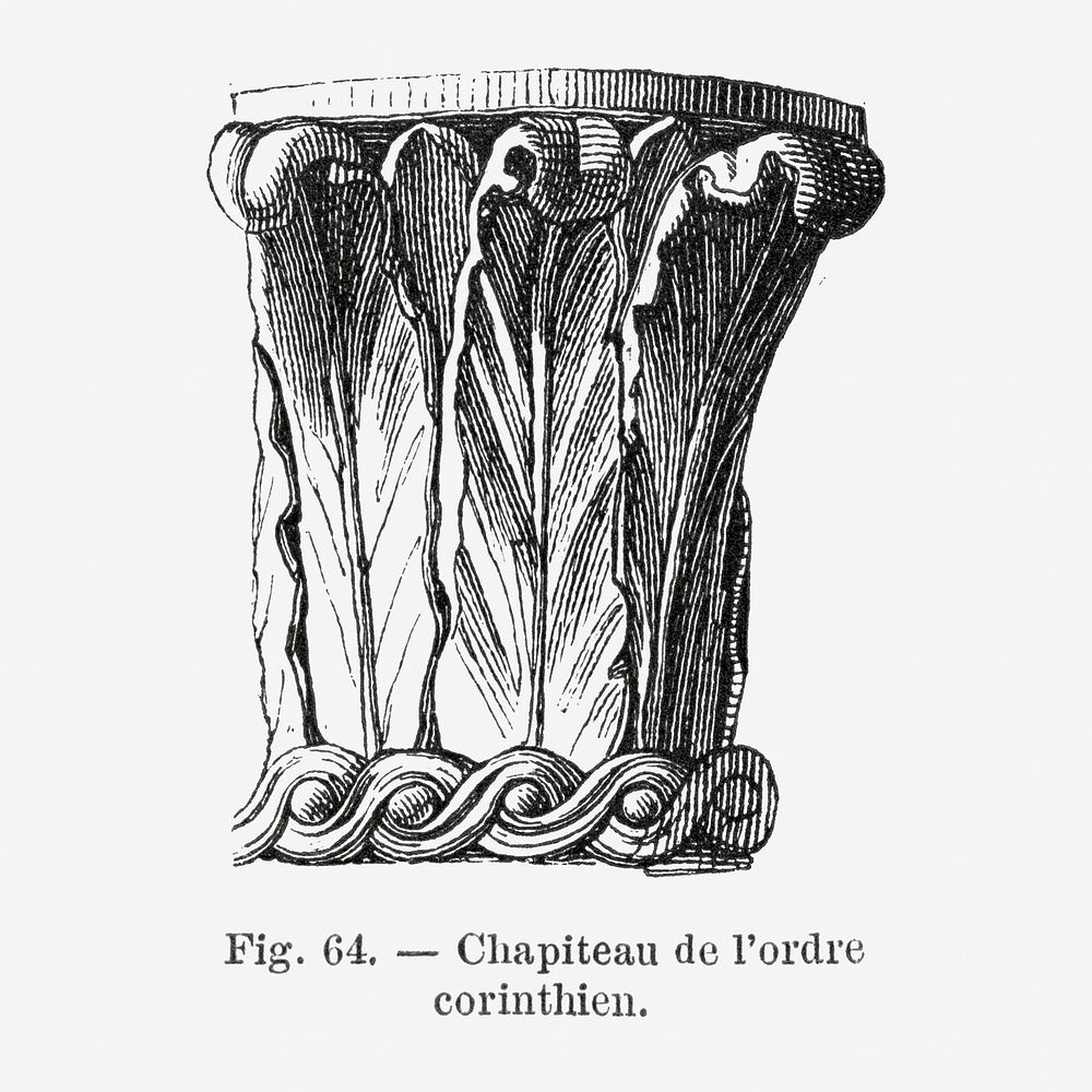 Roman corinthian order illustration. Digitally enhanced from our own original copy of Les Palmiers Histoire Iconographique…