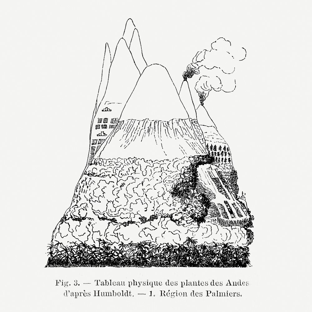 Vintage mountain drawing. Digitally enhanced from our own original copy of Les Palmiers Histoire Iconographique (1878)…