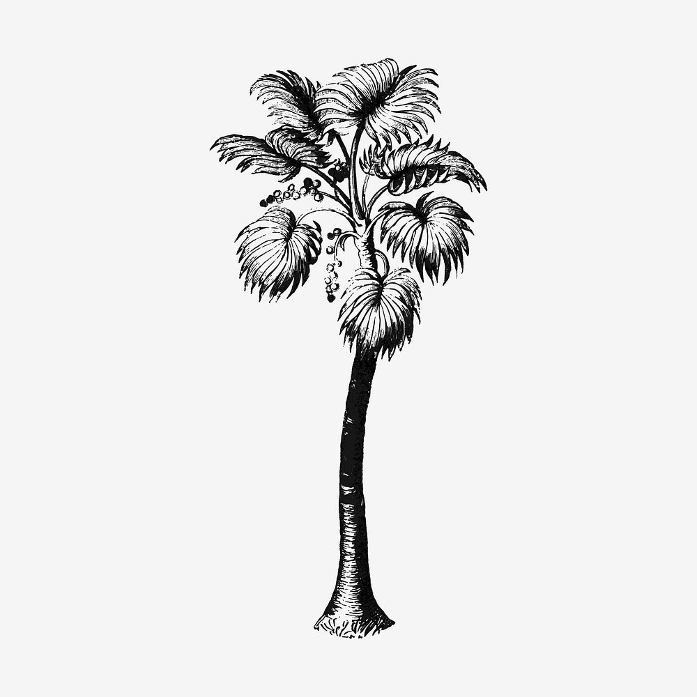 Palm tree sticker, vintage tropical illustration, classic vector collage element