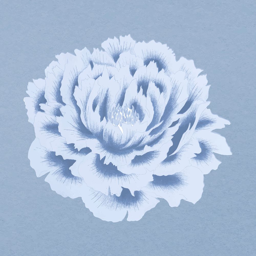 Peony flower clipart, blue botanical floral design vector