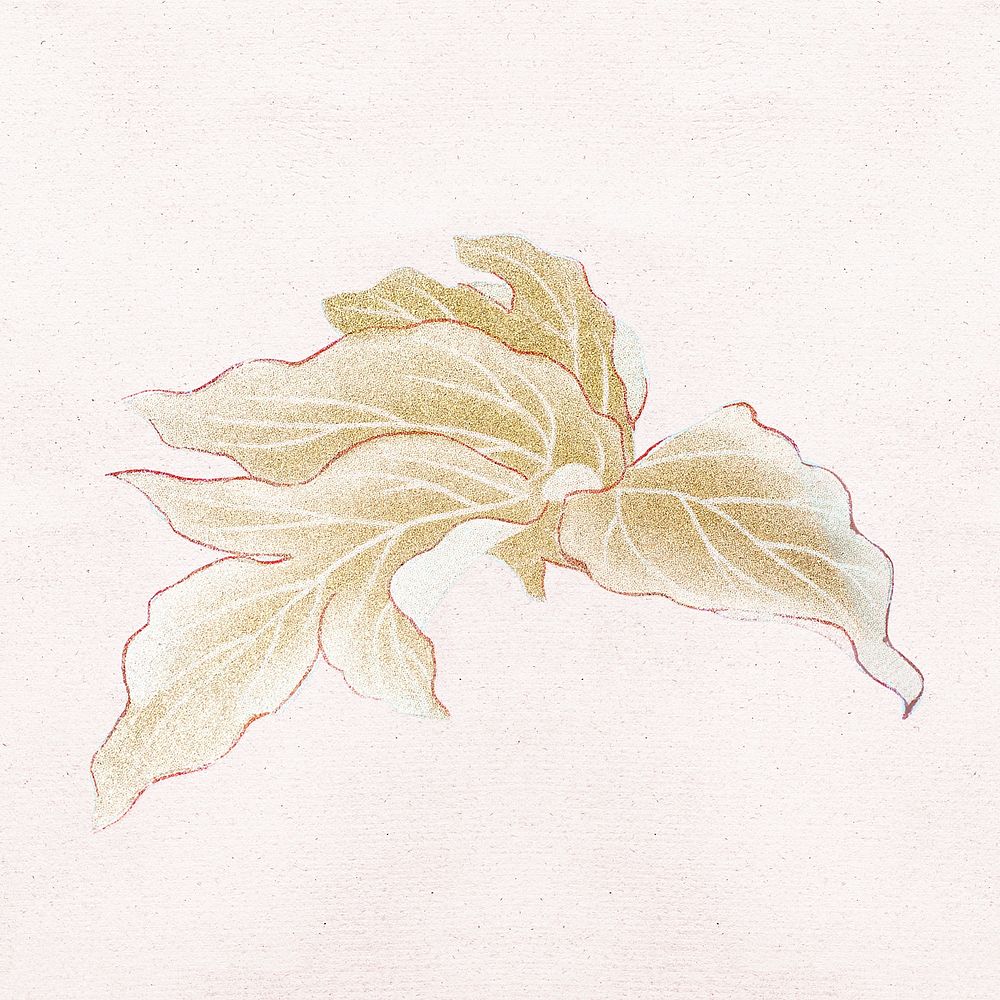 Gold leaf clipart, botanical style