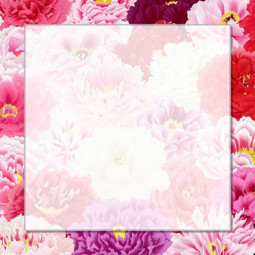 Peony frame, pink flowers, aesthetic design