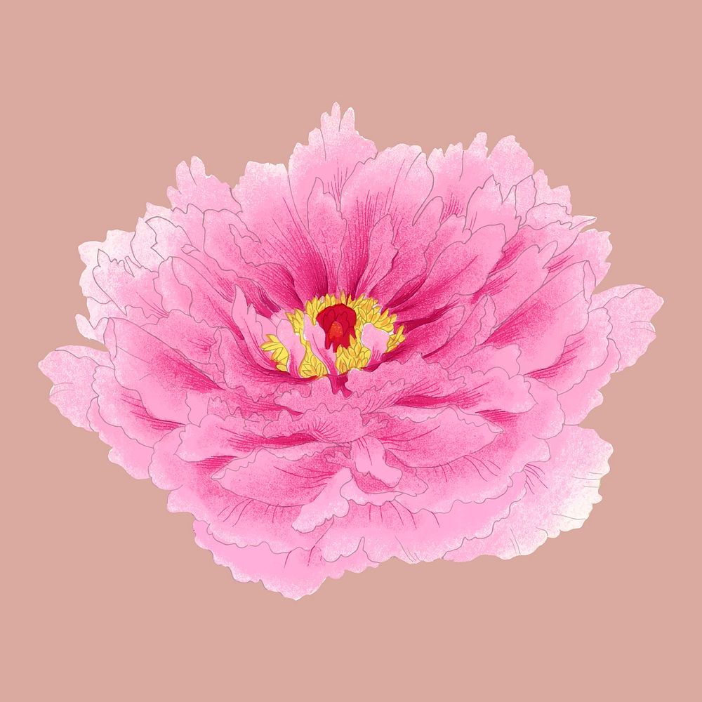 Pink peony sticker, Japanese botanical flower design element vector