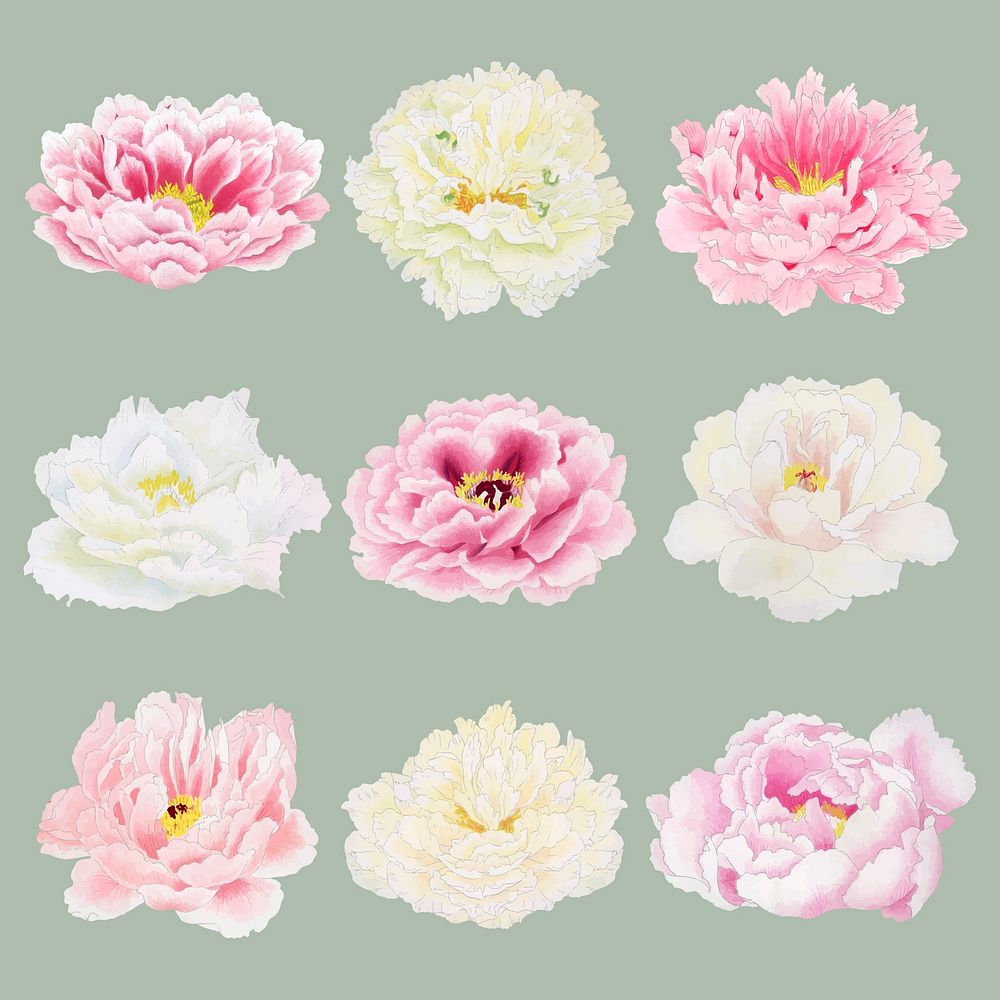 Pink peony sticker, Japanese botanical flower design element vector set