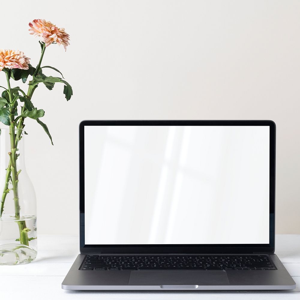 Laptop with blank screen, chrysanthemum in vase